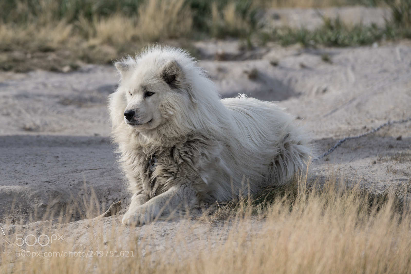 Sony a7R II sample photo. Kangerlussuaq  photography