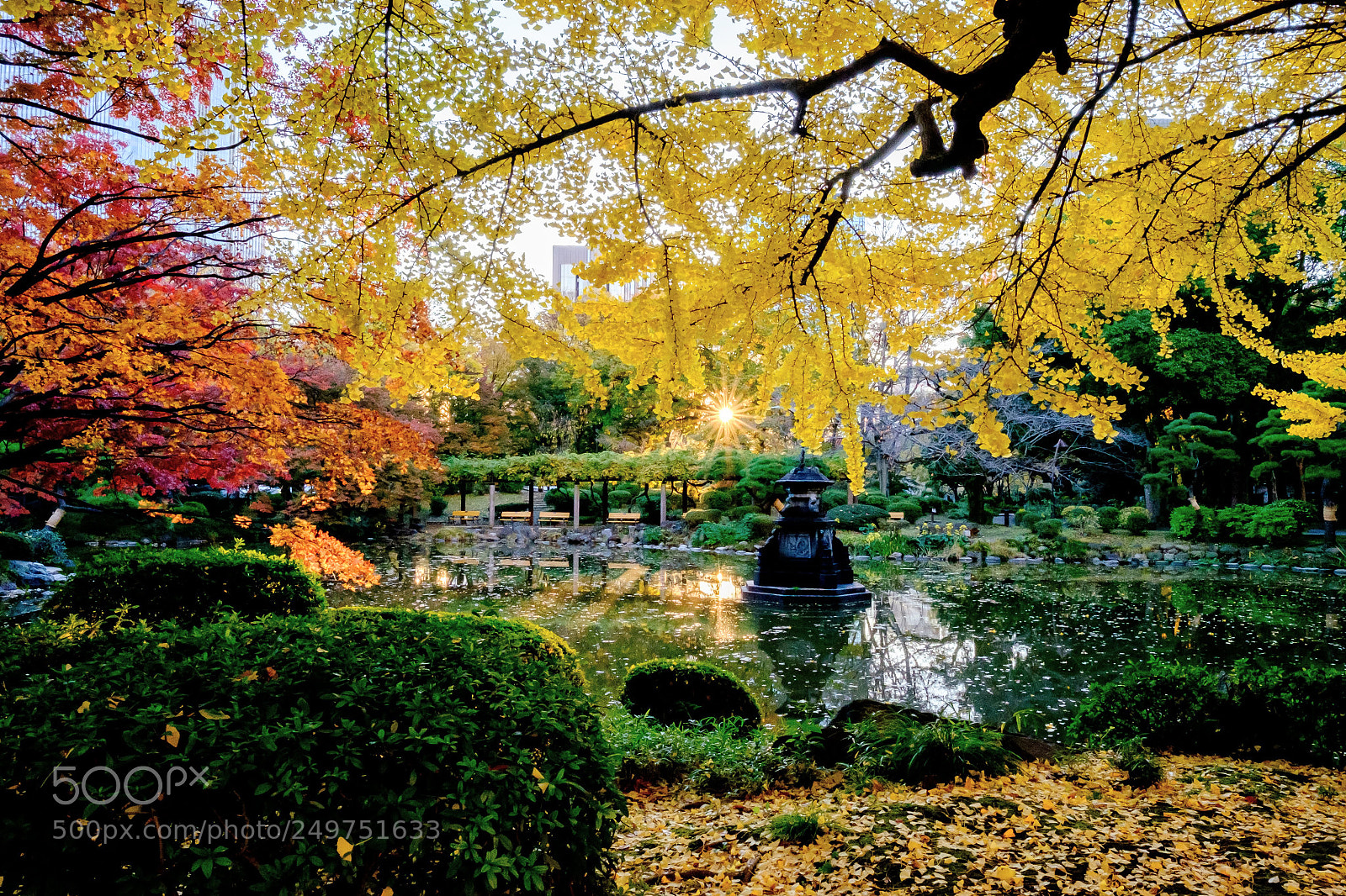 Fujifilm X-T1 sample photo. Hibiya park photography