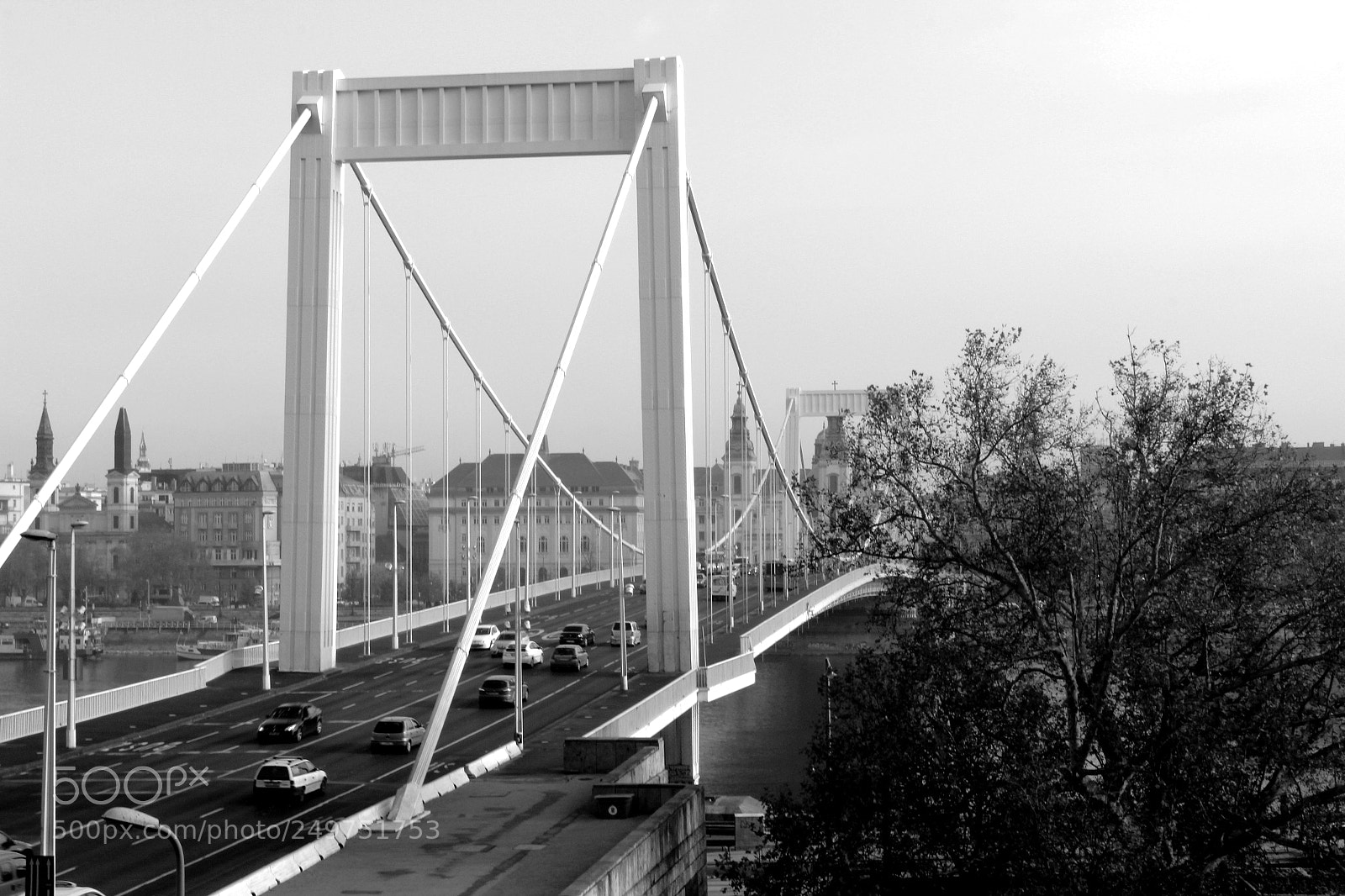 Canon EOS 600D (Rebel EOS T3i / EOS Kiss X5) sample photo. Budapest erzsébethíd photography