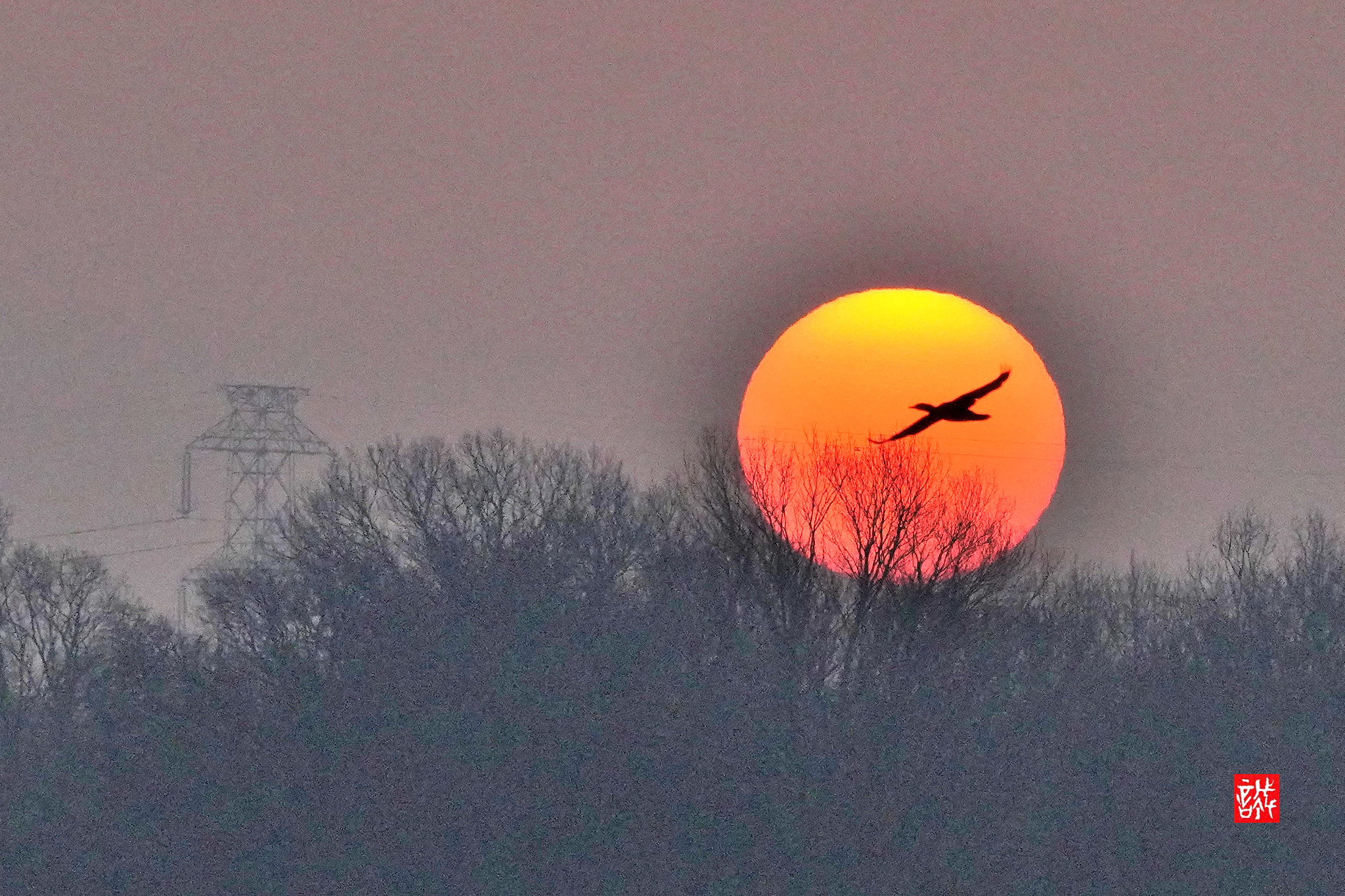 Sony FE 70-300mm F4.5-5.6 G OSS sample photo. Sunrise 0315 photography