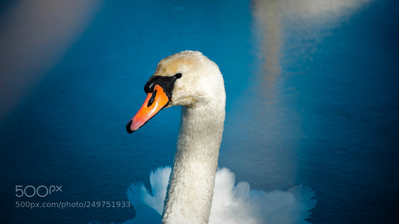 Nikon D7100 sample photo. I'm watching you photography