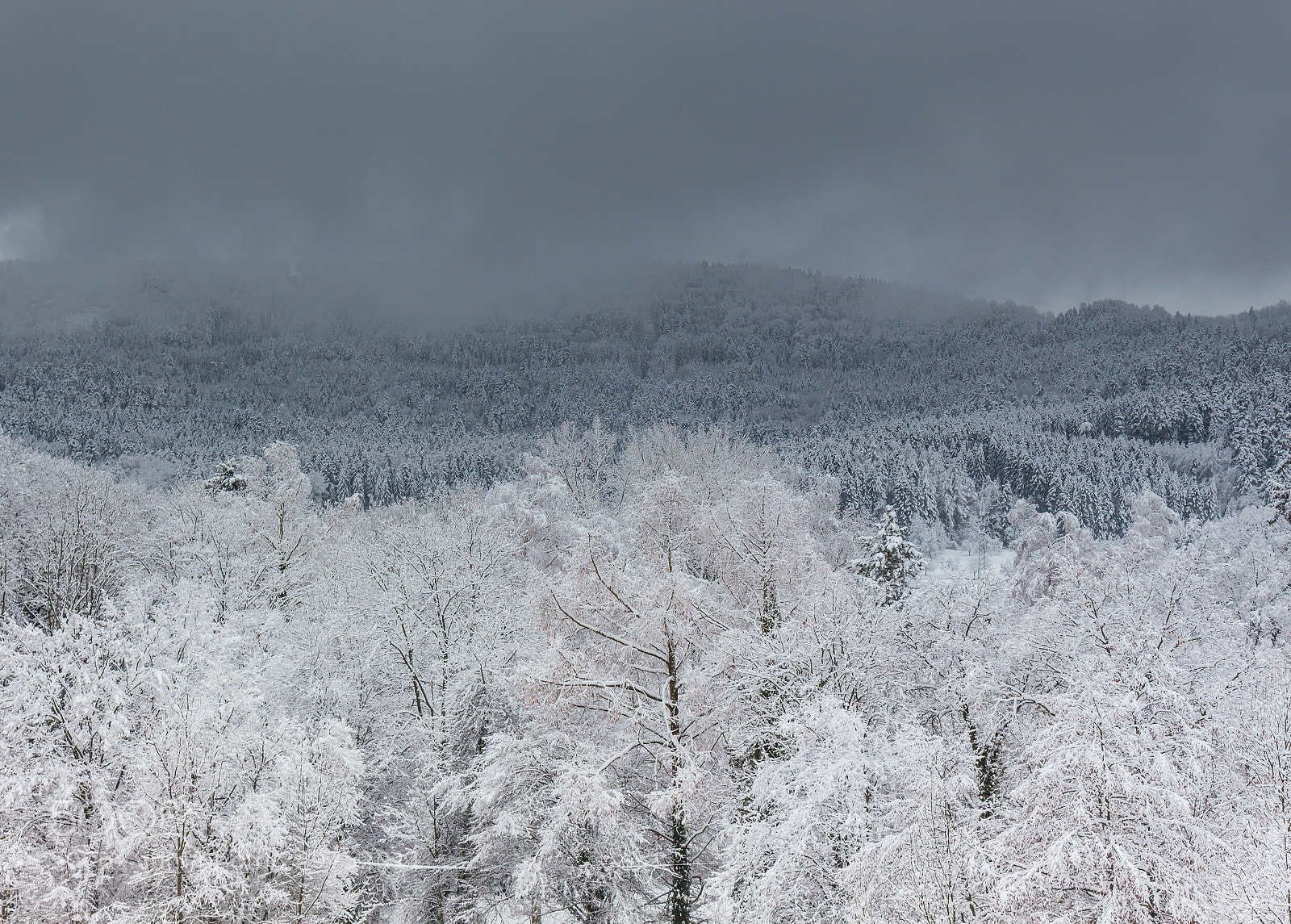 Canon EOS 700D (EOS Rebel T5i / EOS Kiss X7i) sample photo. Winter wonderland photography