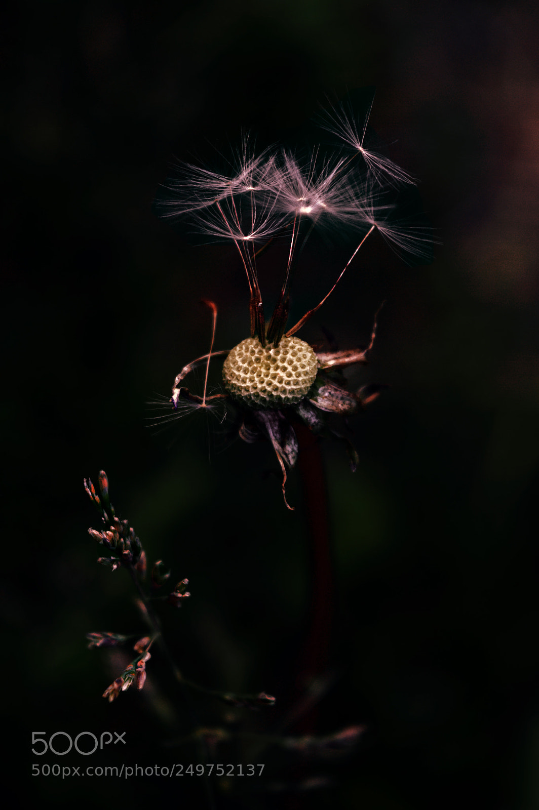 Nikon D3200 sample photo. Untitled photography