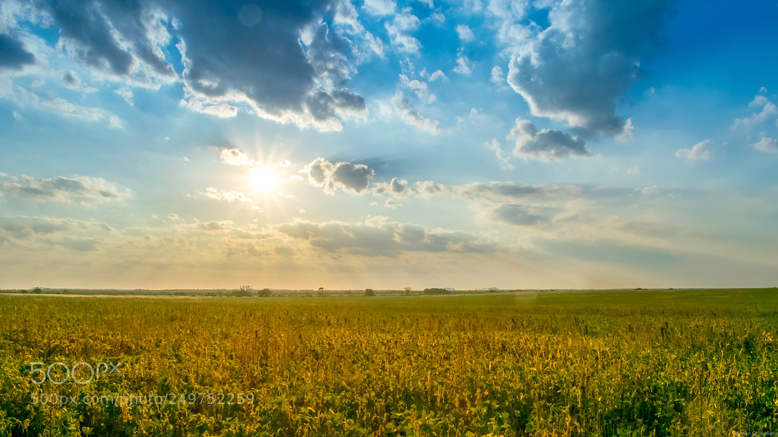 Nikon D5300 sample photo. ** photography