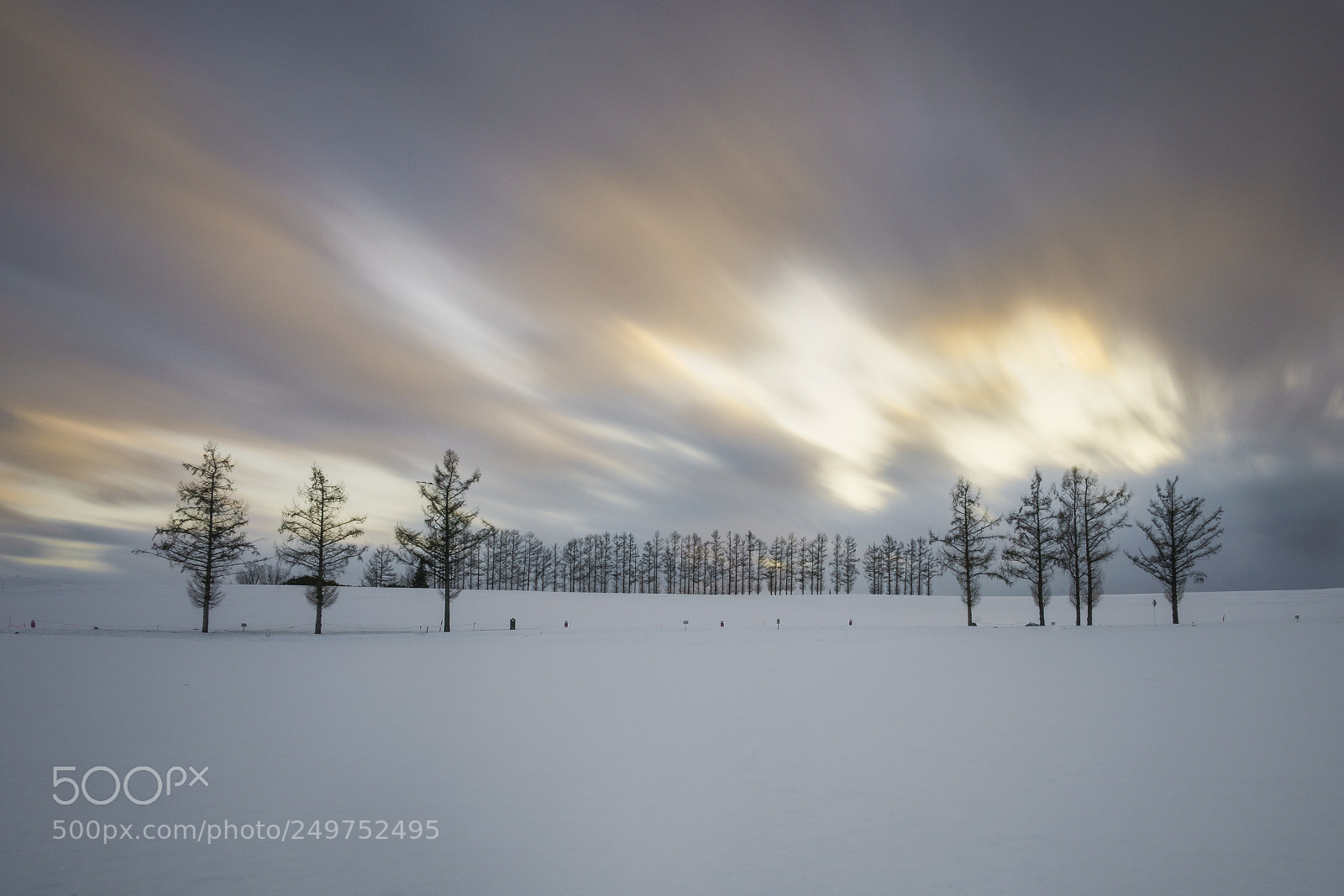 Sony a7R II sample photo. Hill of biei at photography