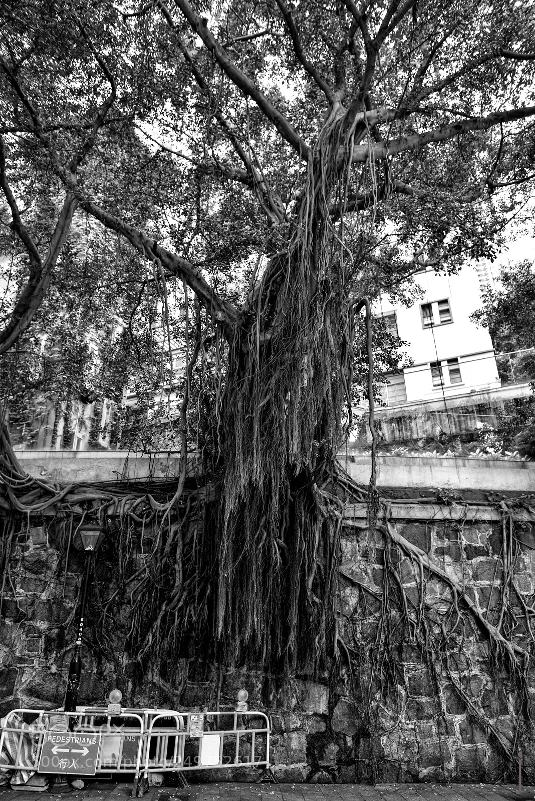 Nikon D810 sample photo. Untitled photography
