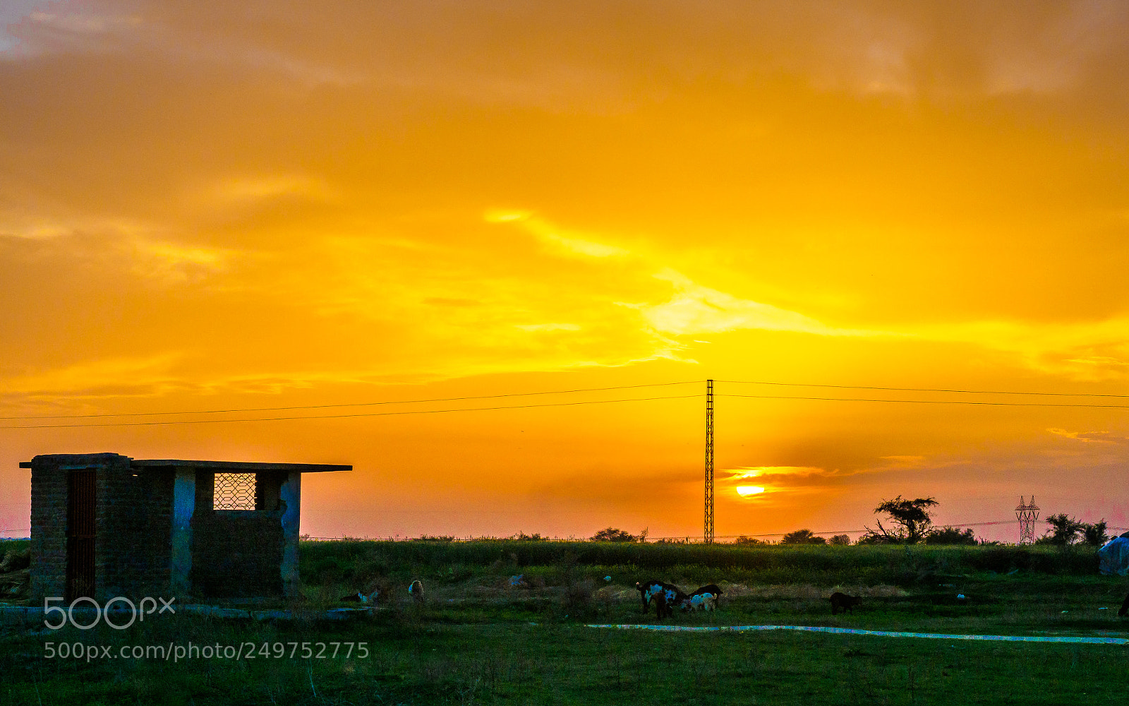Olympus OM-D E-M1 Mark II sample photo. Sunset photography