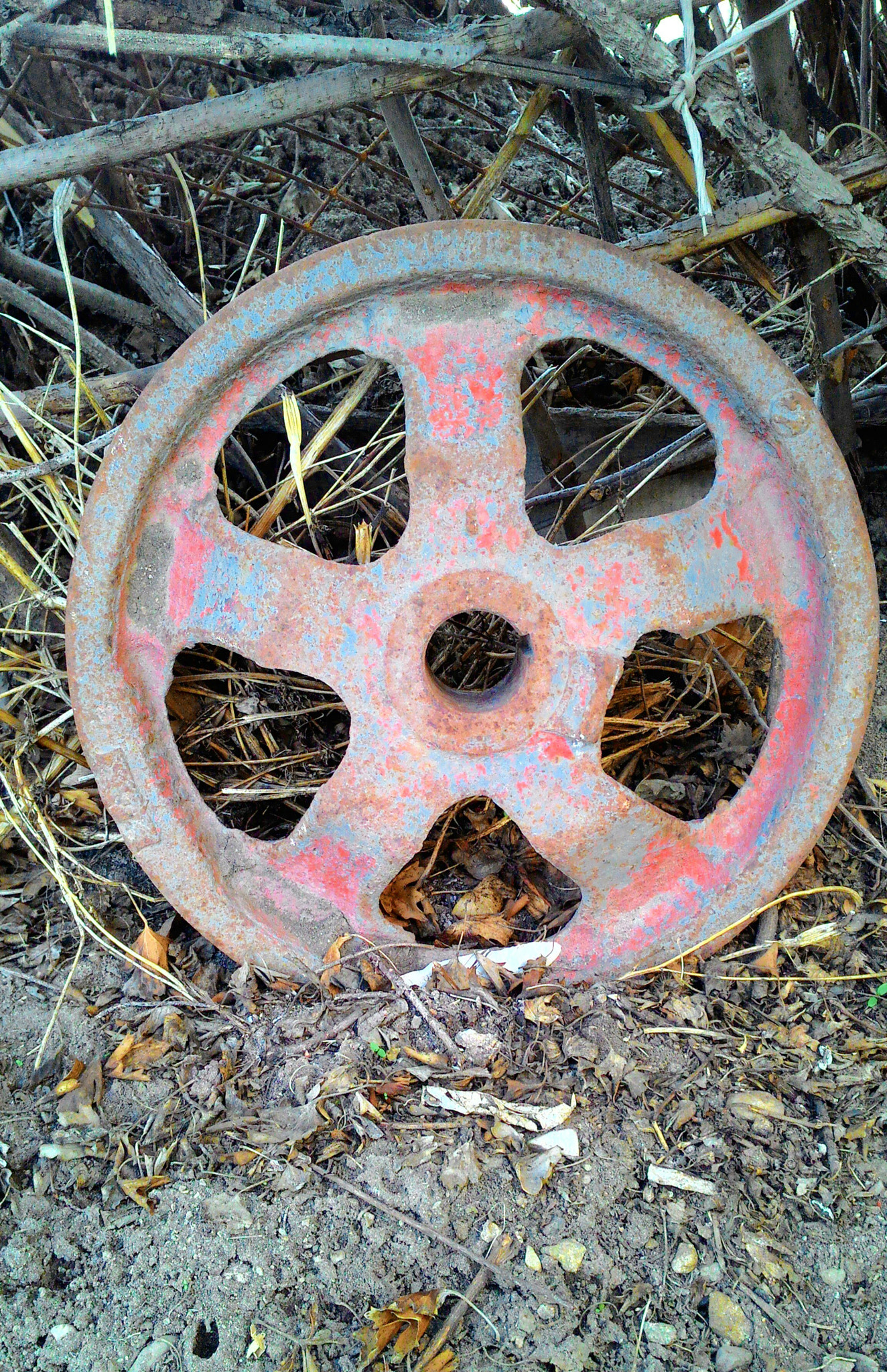 ASUS Z002 sample photo. Old wheel rim? photography