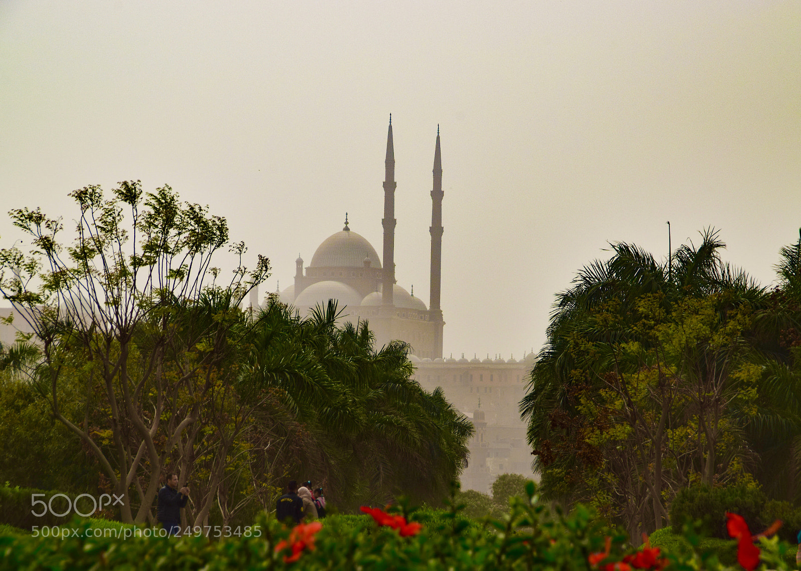 Nikon D3300 sample photo. Die with memories, photography
