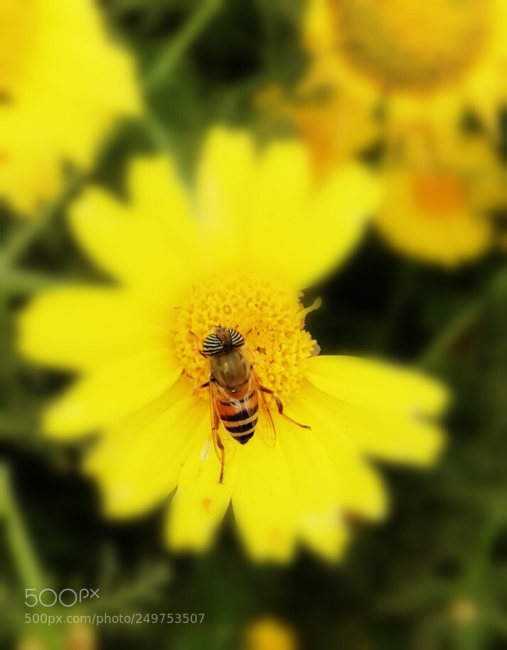 HUAWEI Mate 10 Lite sample photo. Untitled photography