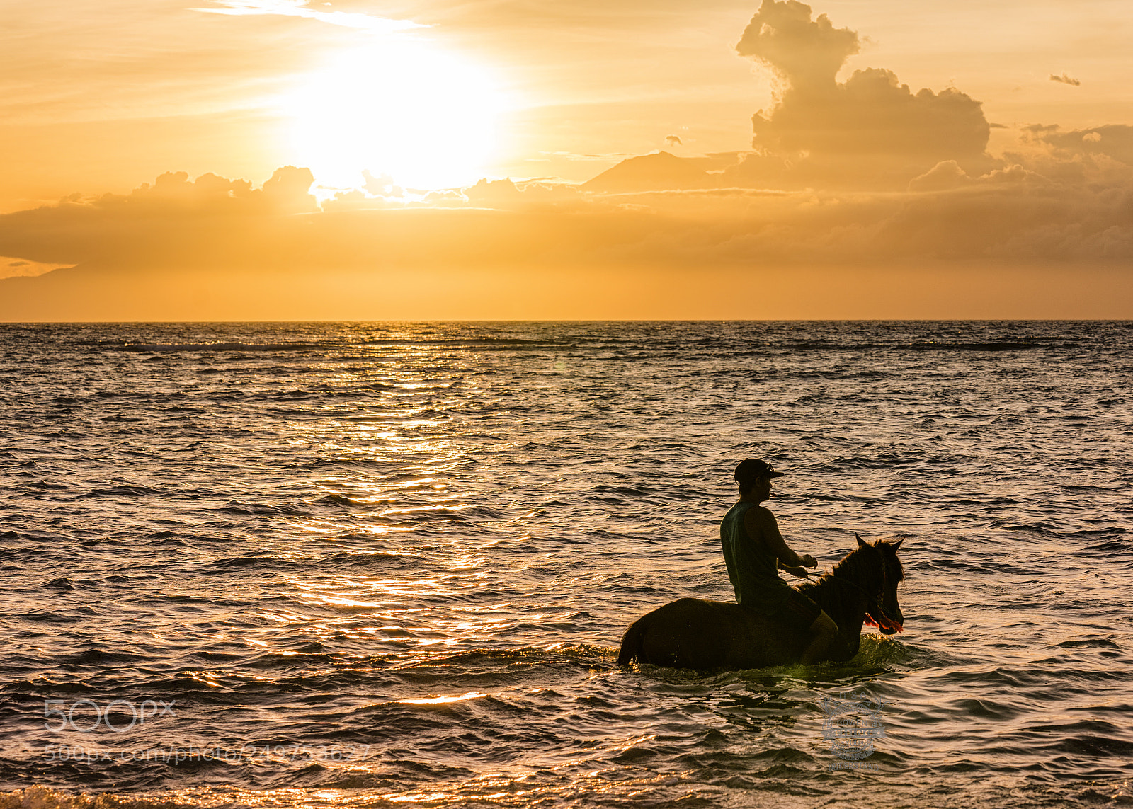 Sony a9 sample photo. Seahorse photography