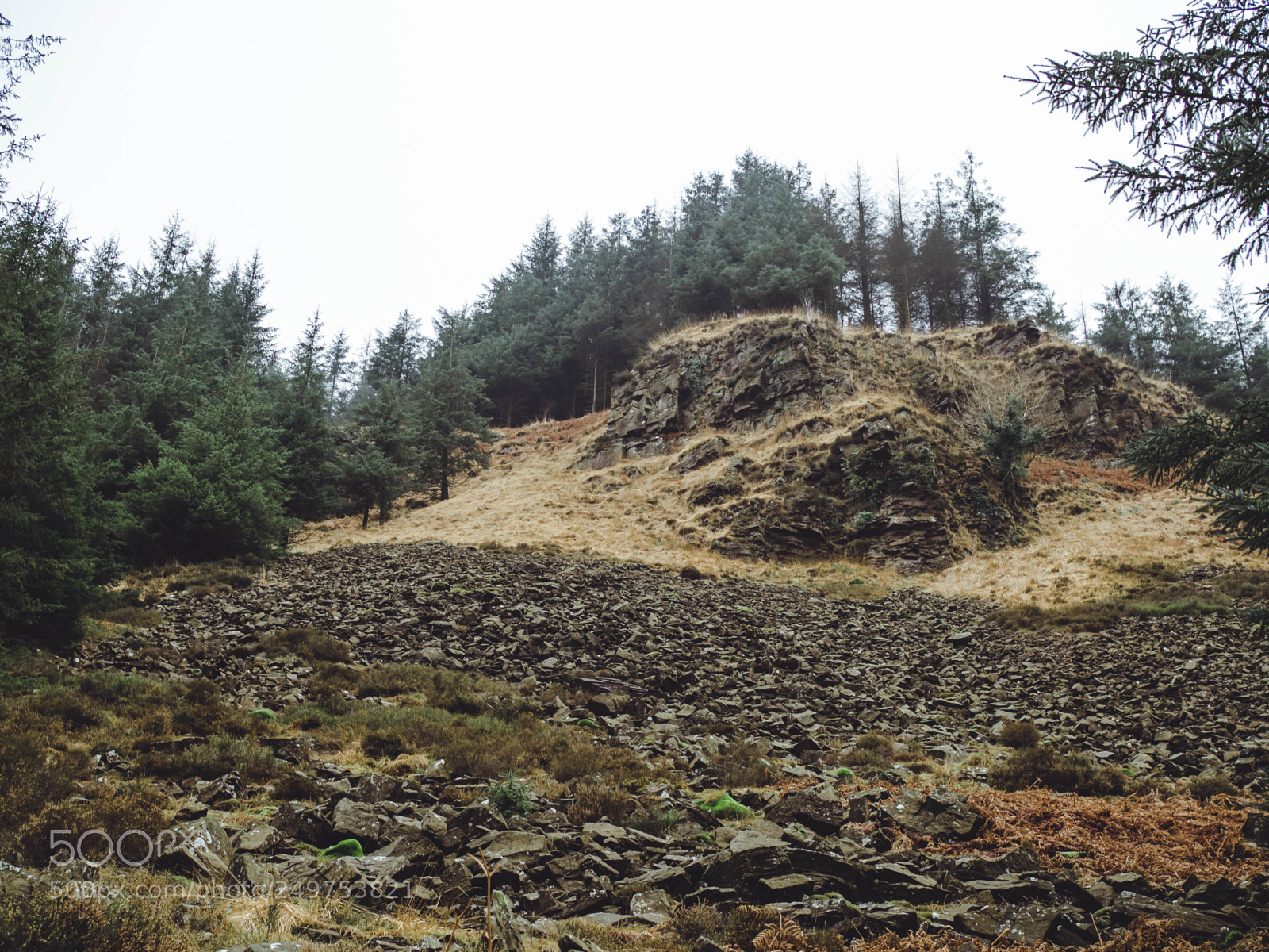 Olympus OM-D E-M5 II sample photo. Uphill scramble rhondda valley photography