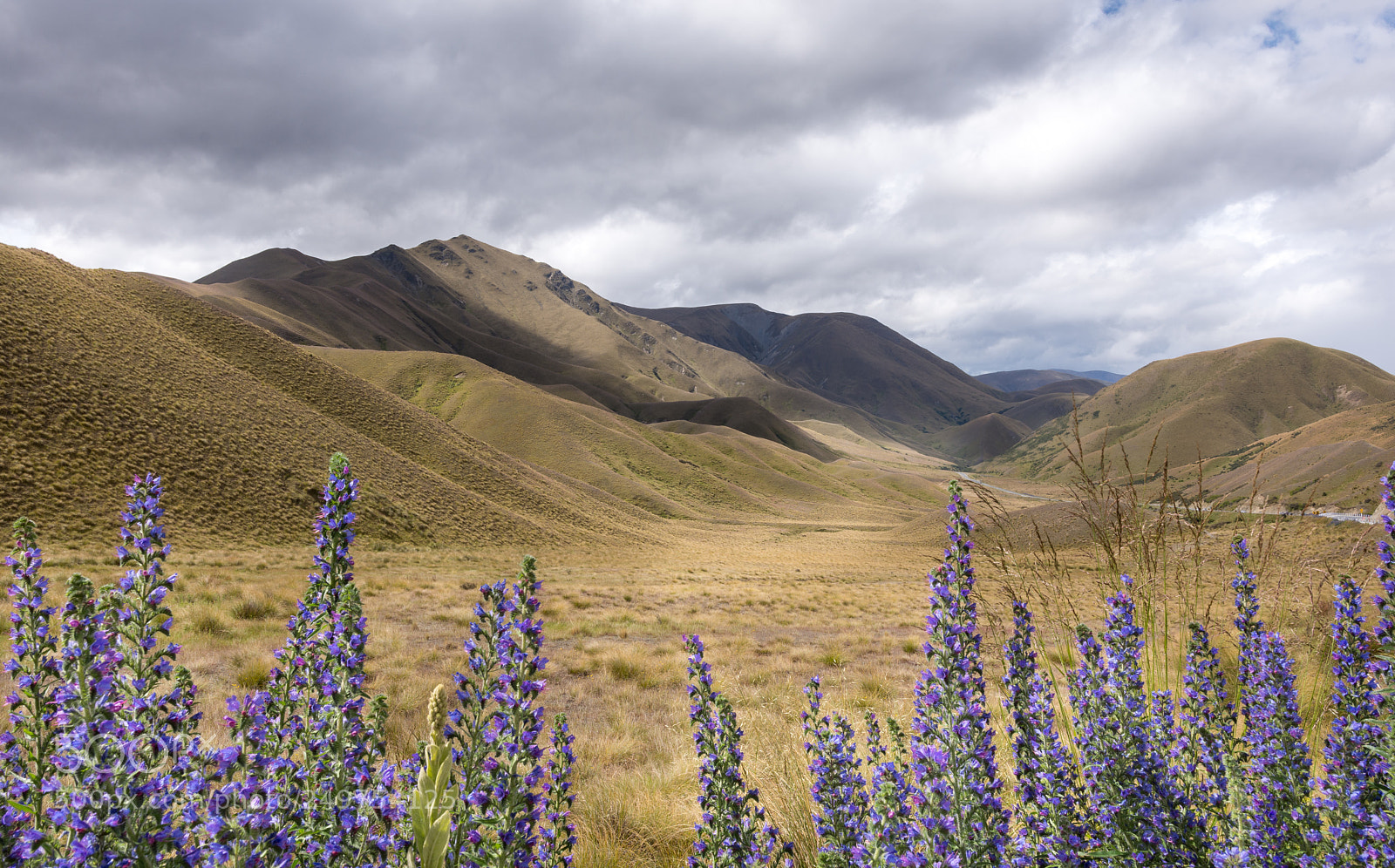 Nikon D7200 sample photo. Lavender lindis pass viewpoint photography