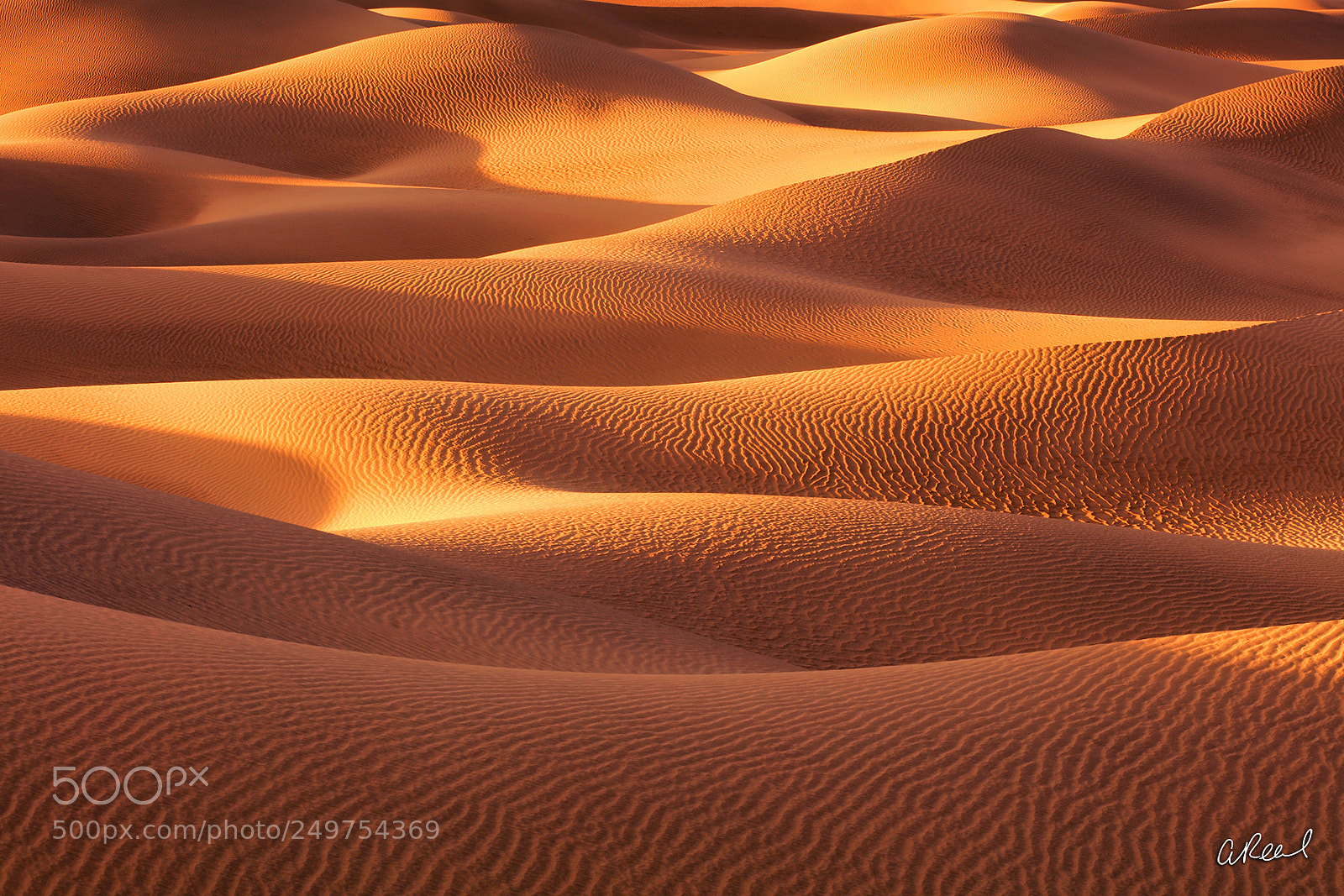 Canon EOS 5DS R sample photo. Heatstroke photography
