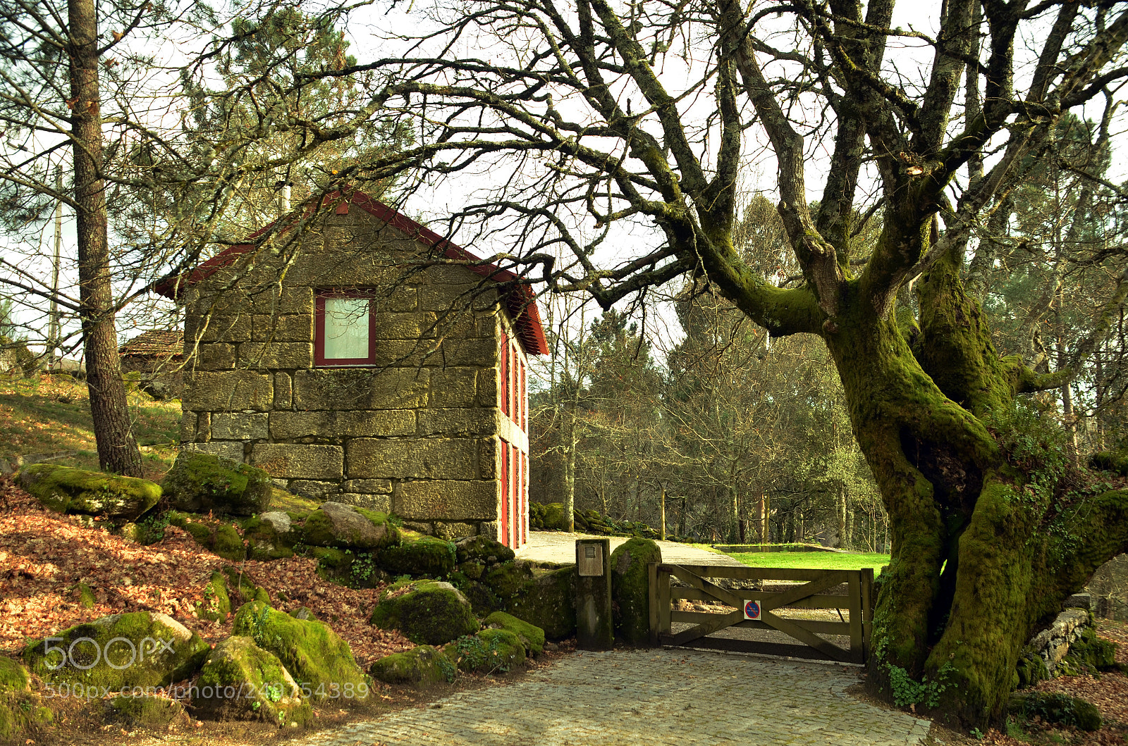 Nikon D7000 sample photo. Camphouse photography