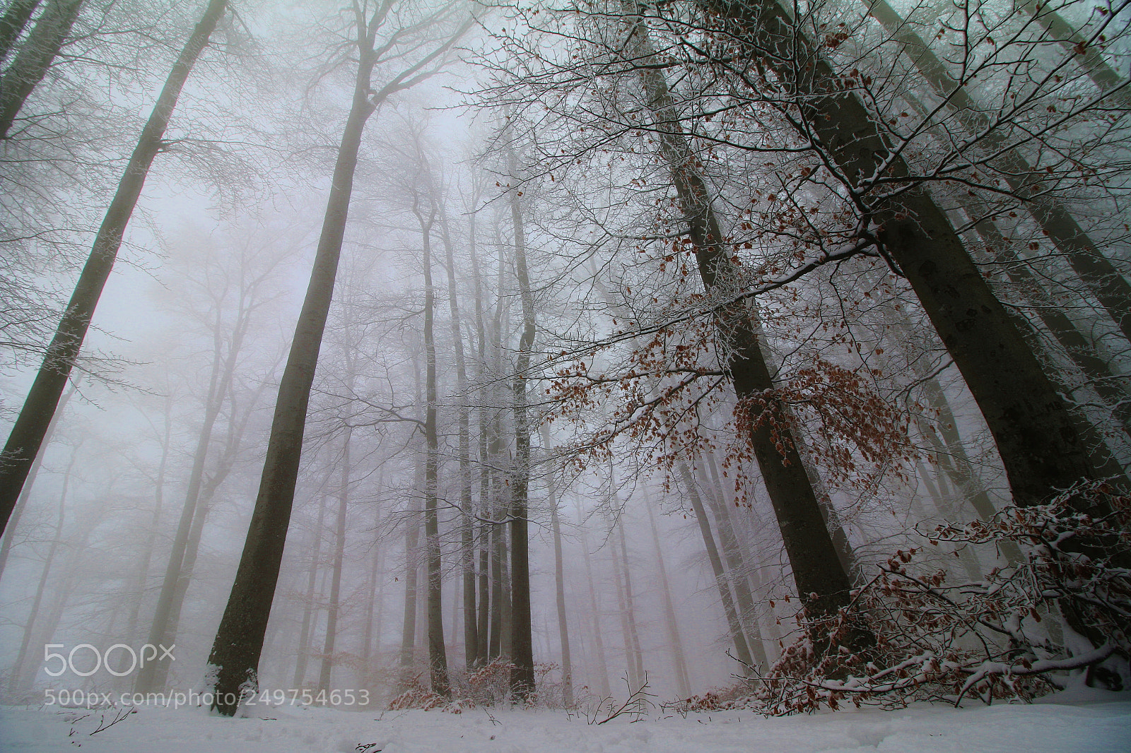 Canon EOS 70D sample photo. Mystic photography