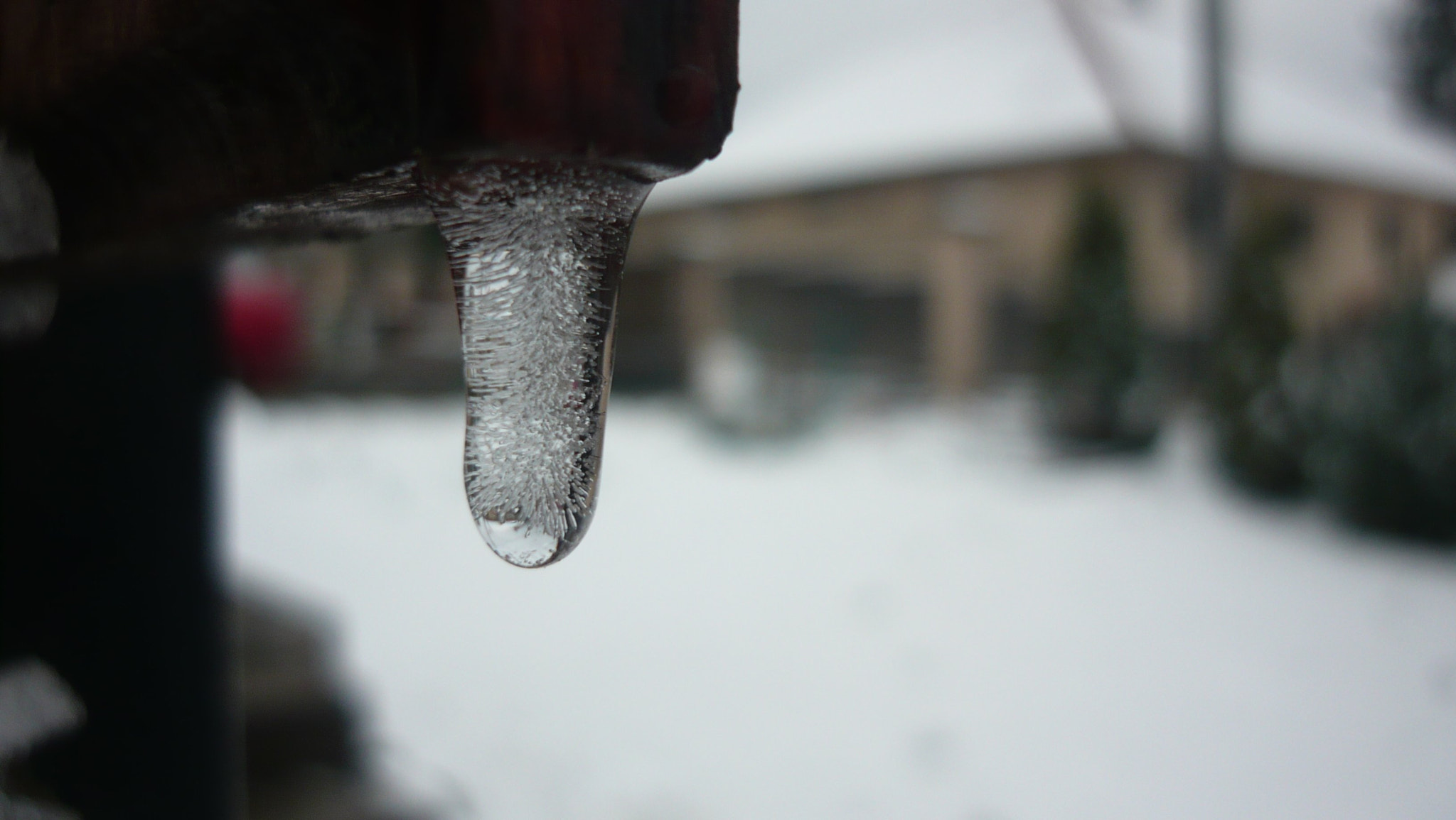 Panasonic Lumix DMC-LS80 sample photo. Icicle photography