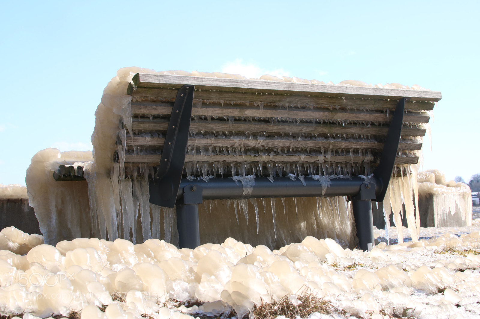 Canon EOS 750D (EOS Rebel T6i / EOS Kiss X8i) sample photo. Frozen photography