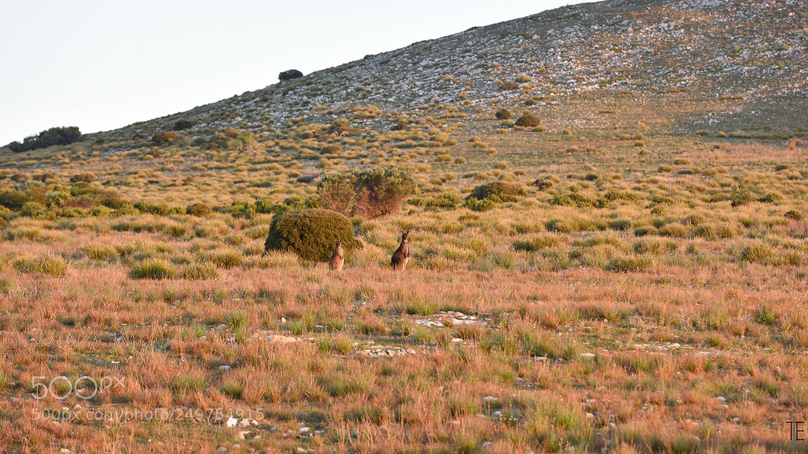 Nikon D810 sample photo. Australia photography