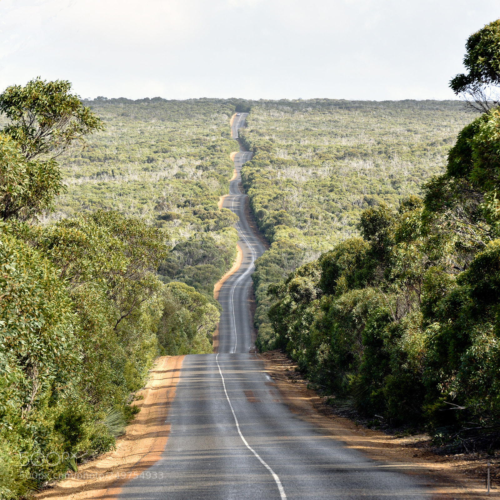 Nikon D810 sample photo. Australia photography