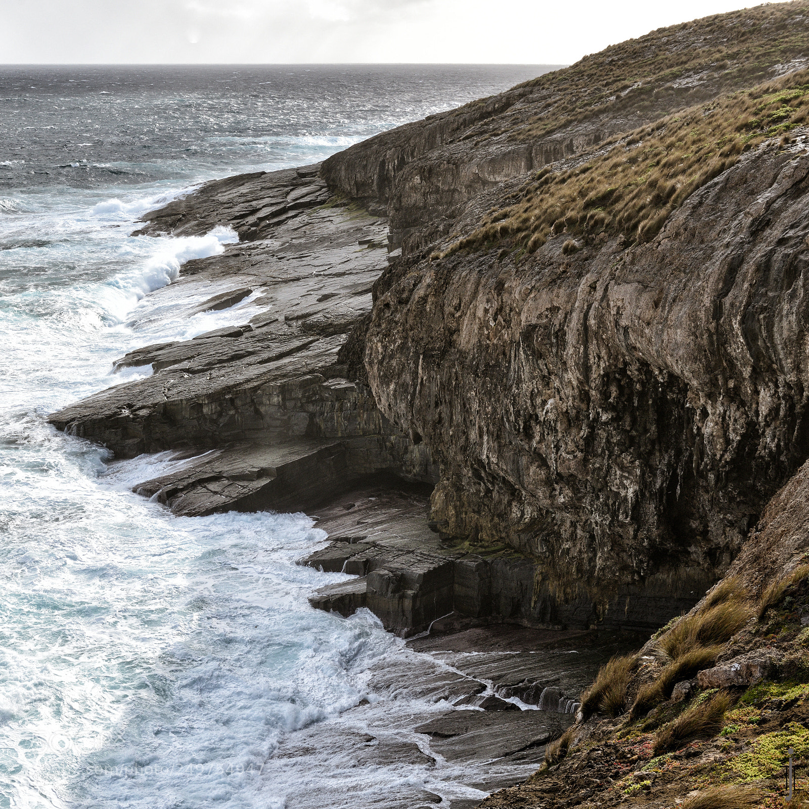 Nikon D810 sample photo. Australia photography
