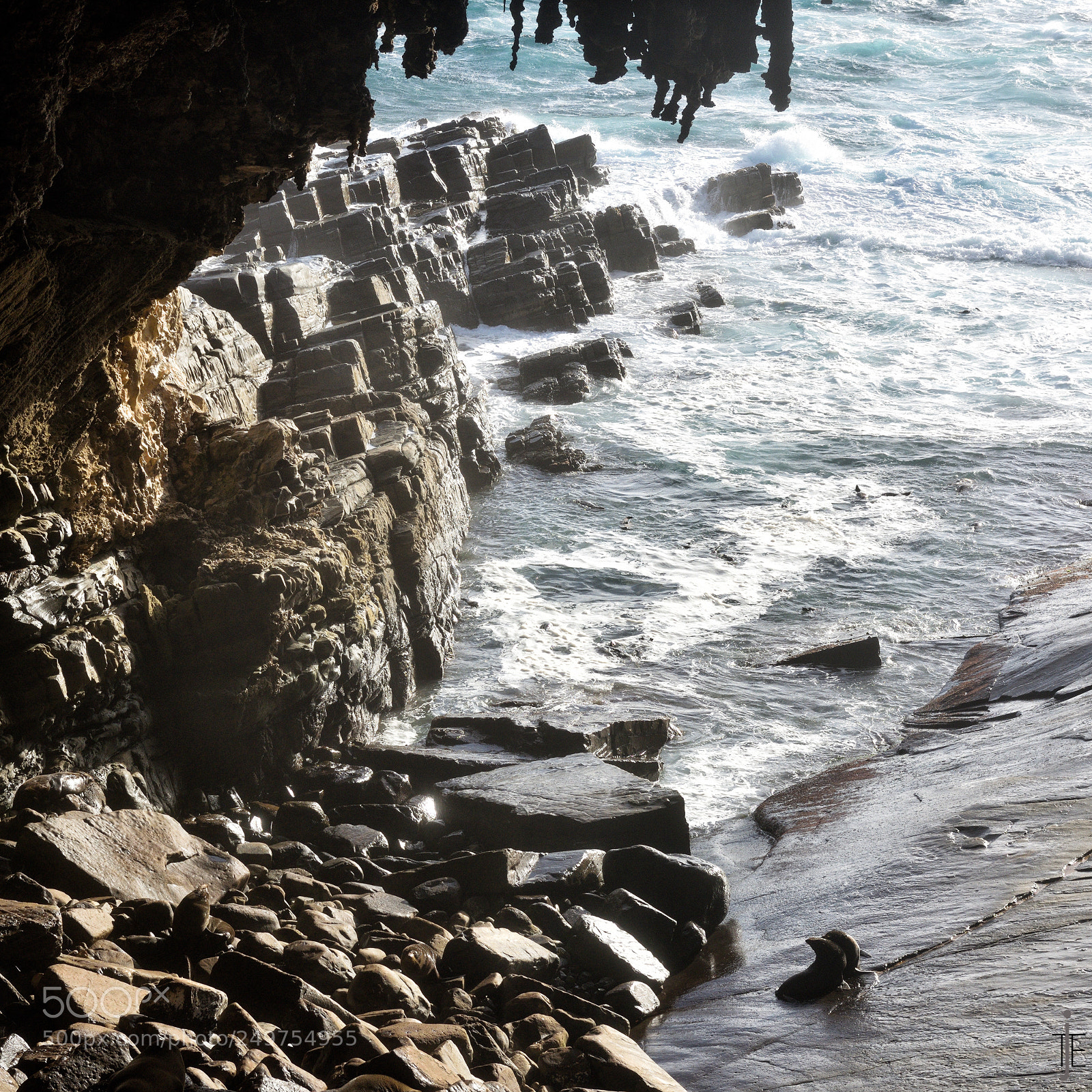 Nikon D810 sample photo. Australia photography