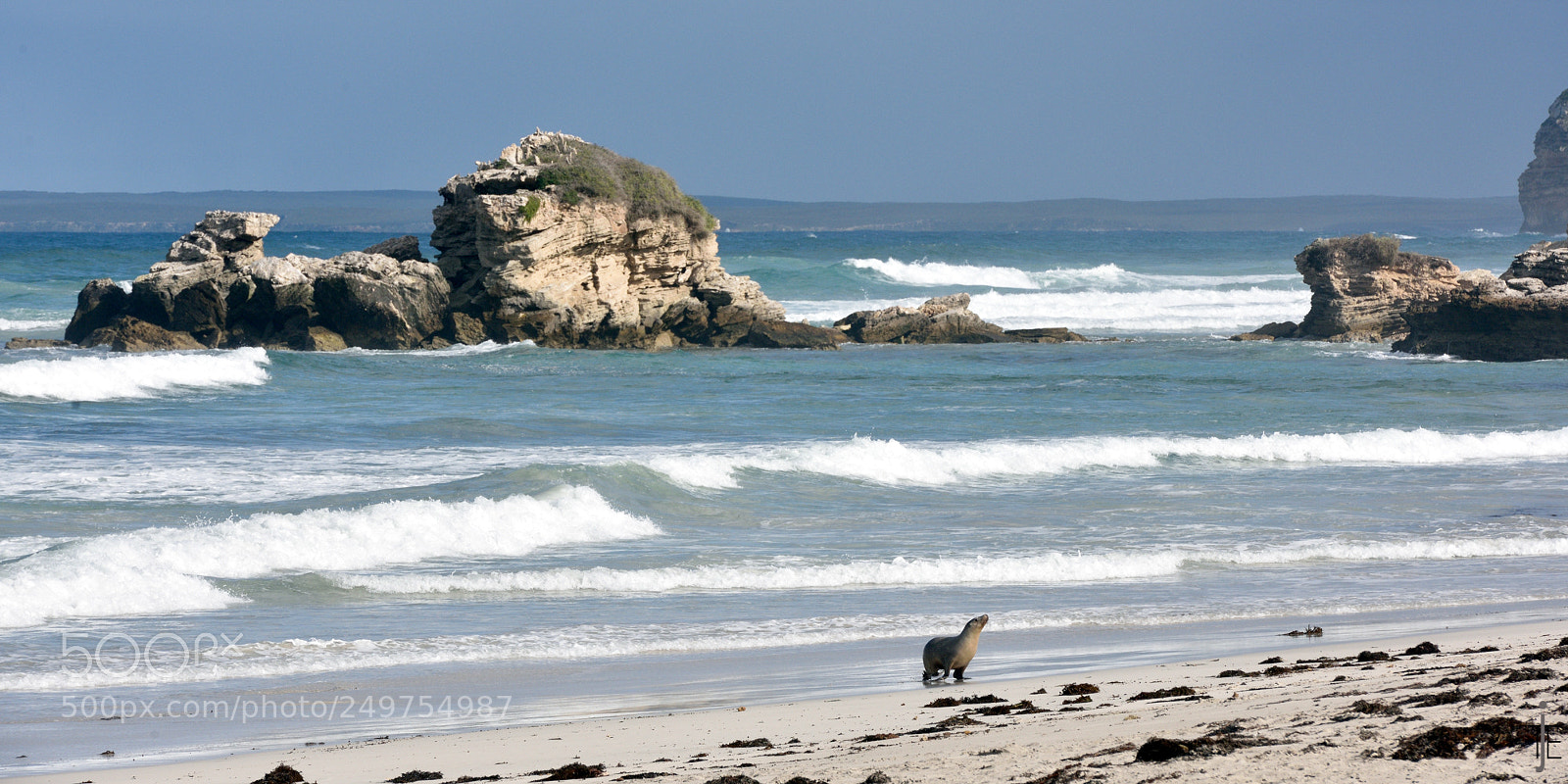 Nikon D810 sample photo. Australia photography