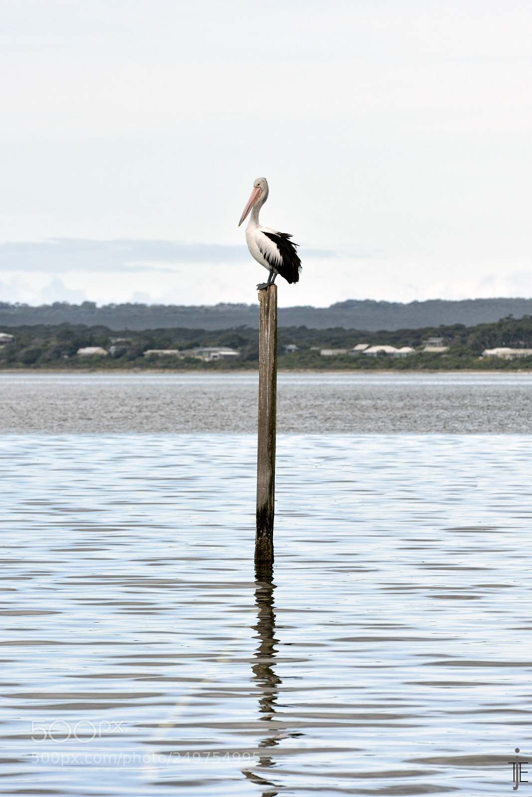 Nikon D810 sample photo. Australia photography