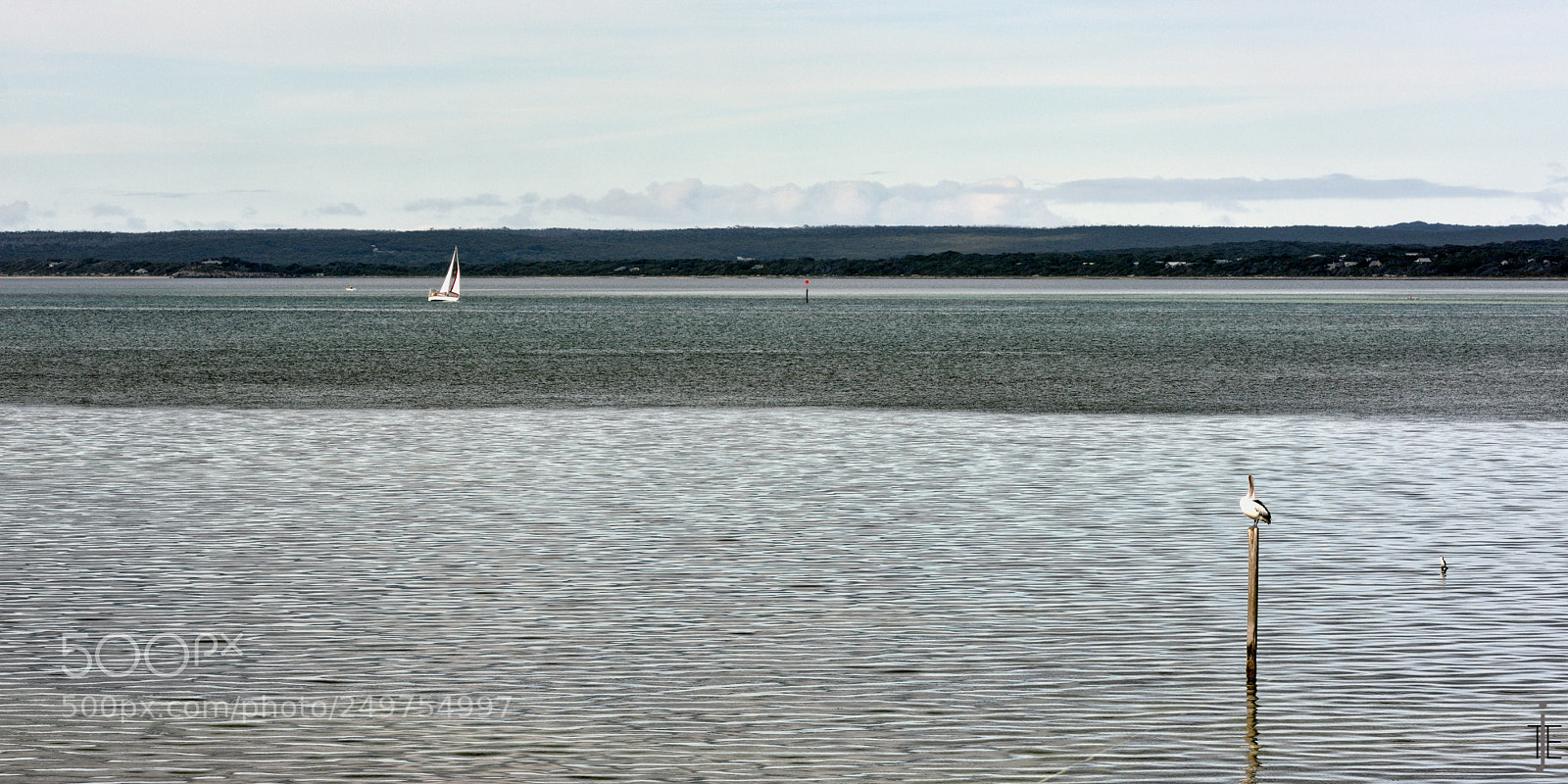 Nikon D810 sample photo. Australia photography