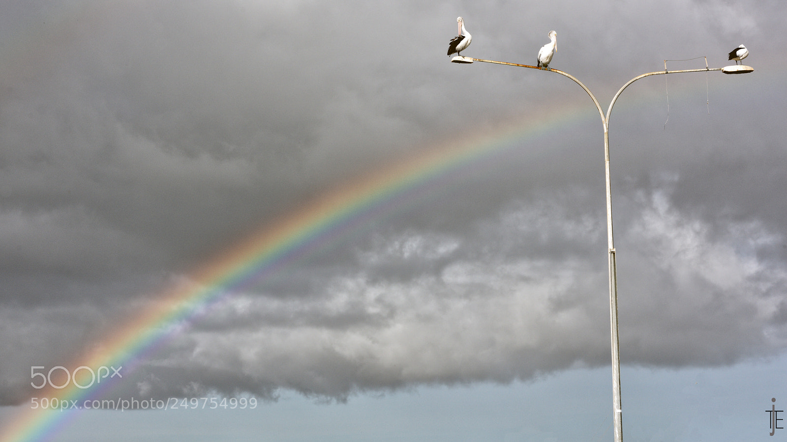 Nikon D810 sample photo. Australia photography