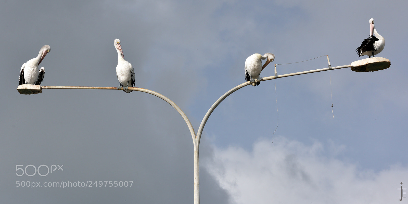 Nikon D810 sample photo. Australia photography