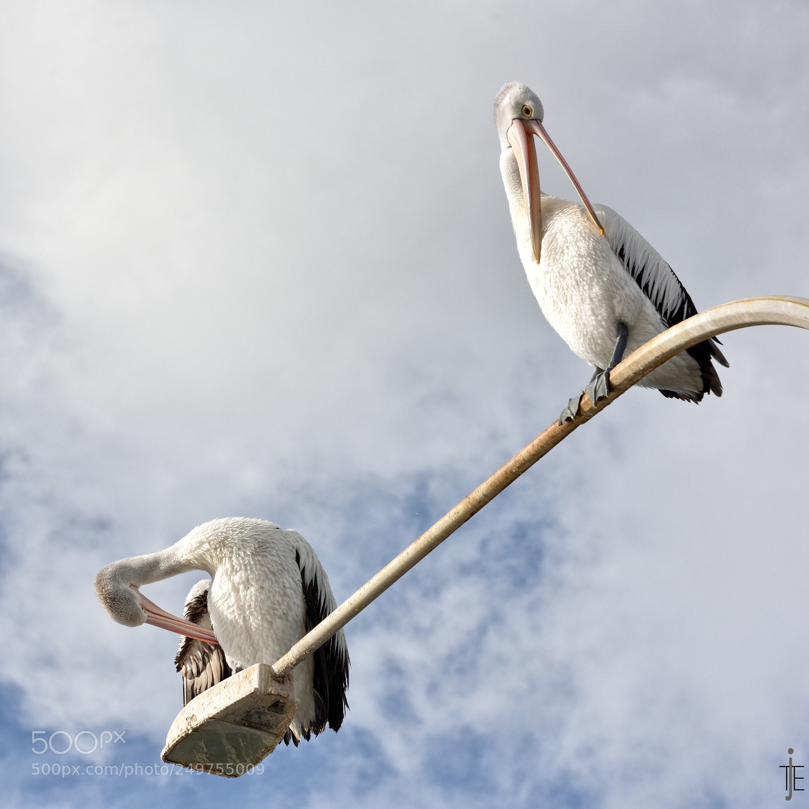 Nikon D810 sample photo. Australia photography