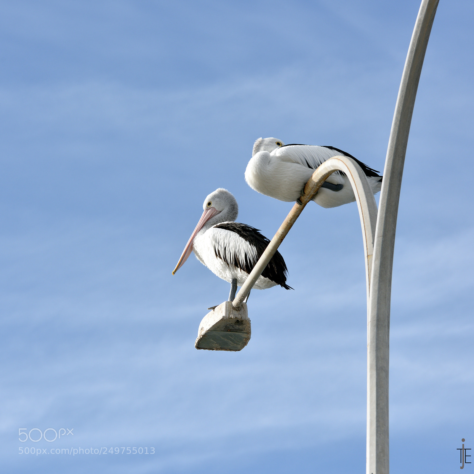 Nikon D810 sample photo. Australia photography