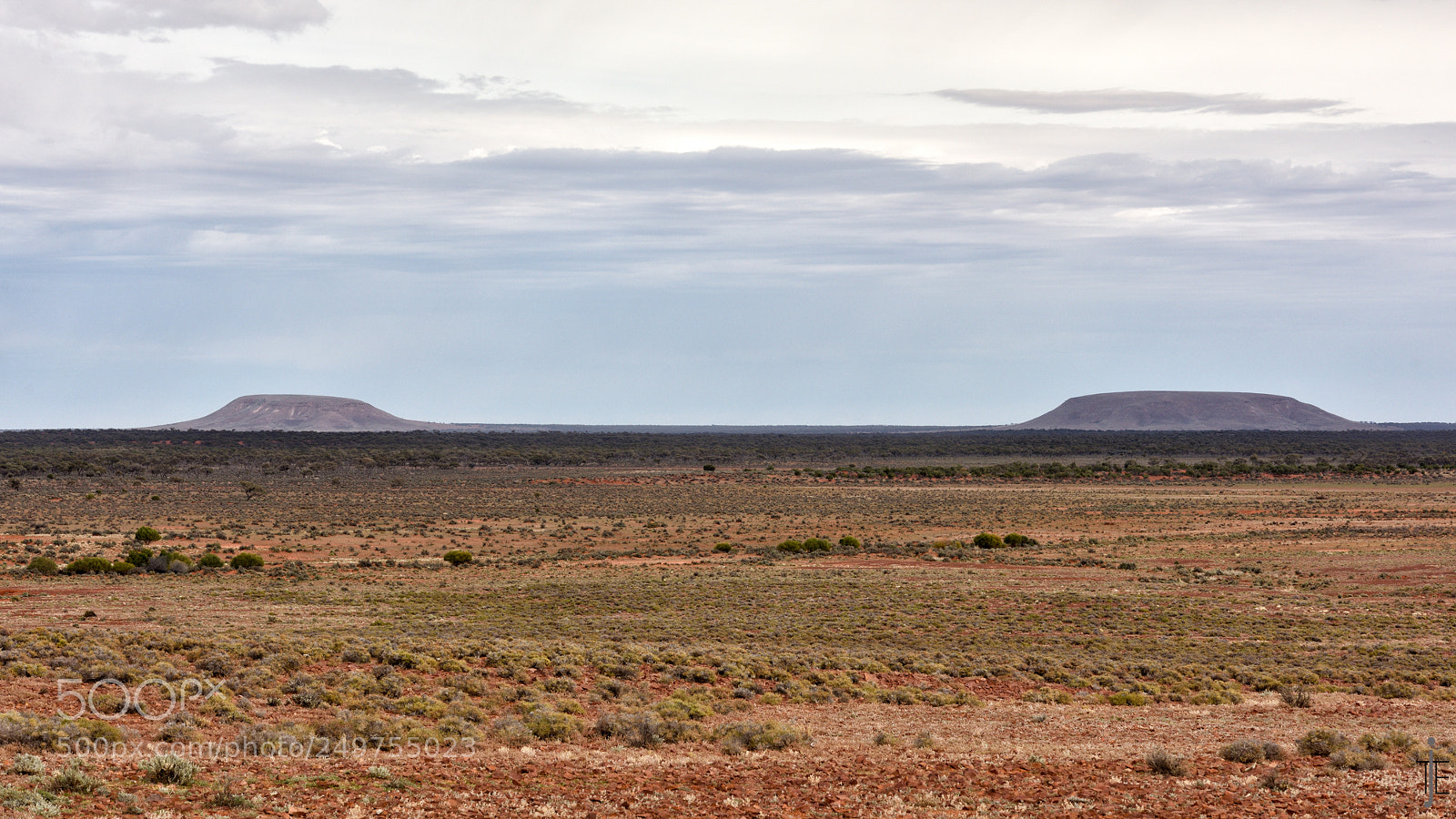 Nikon D810 sample photo. Australia photography