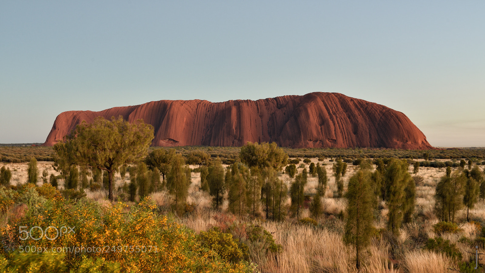 Nikon D810 sample photo. Australia photography