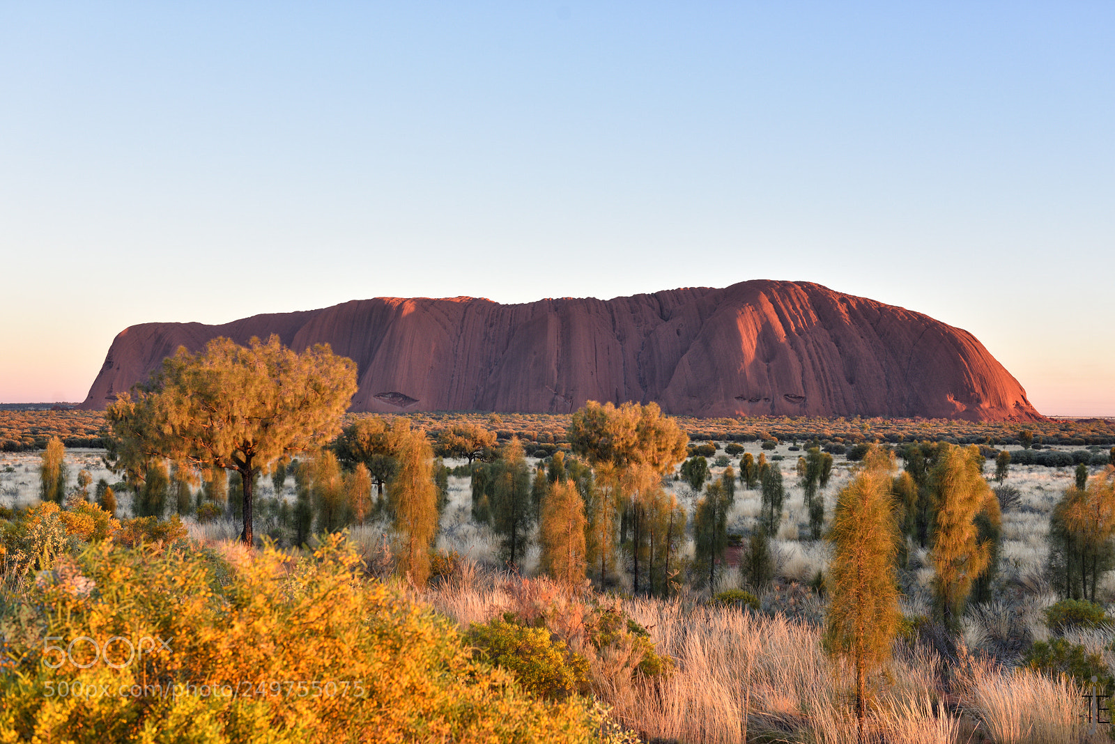 Nikon D810 sample photo. Australia photography