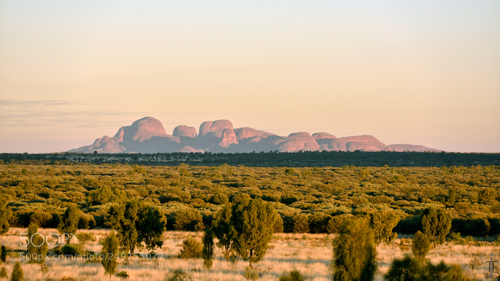 Nikon D810 sample photo. Australia photography