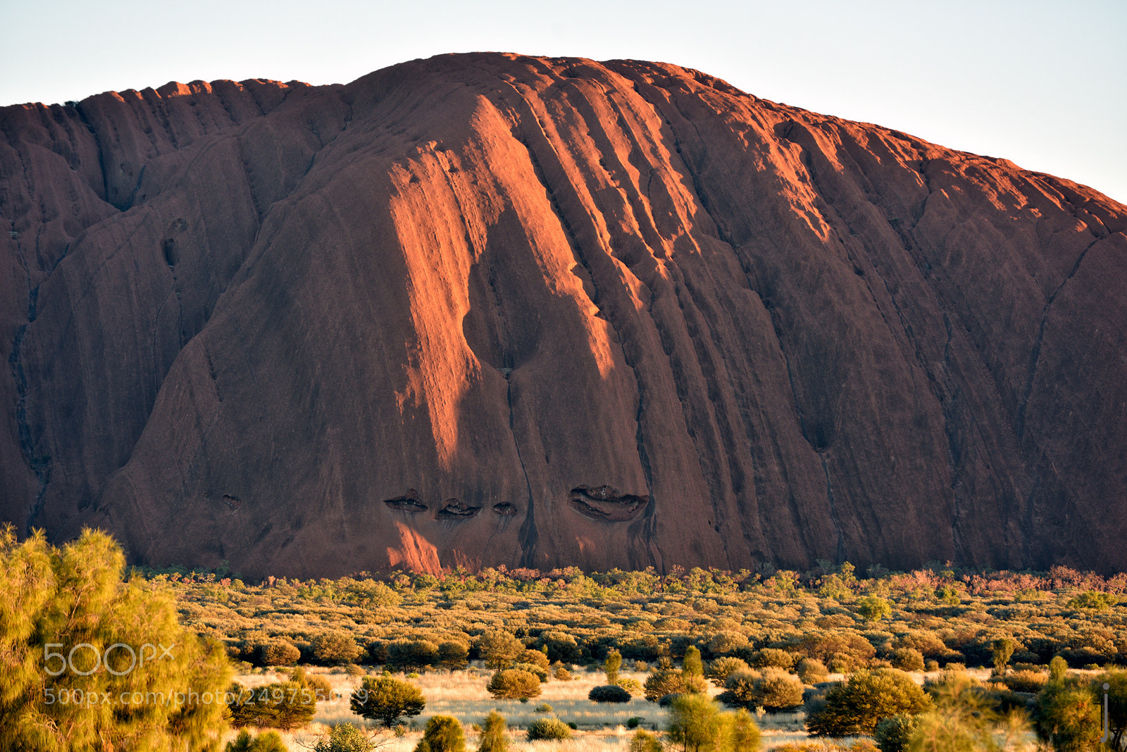 Nikon D810 sample photo. Australia photography