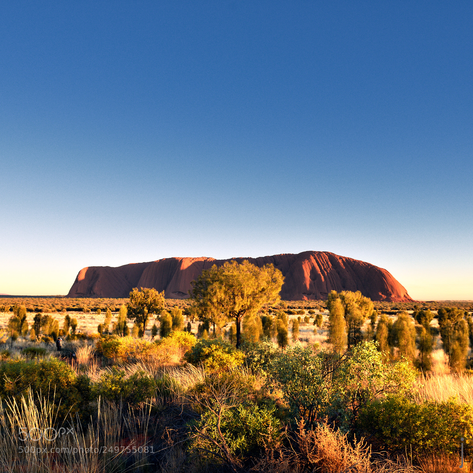 Nikon D810 sample photo. Australia photography
