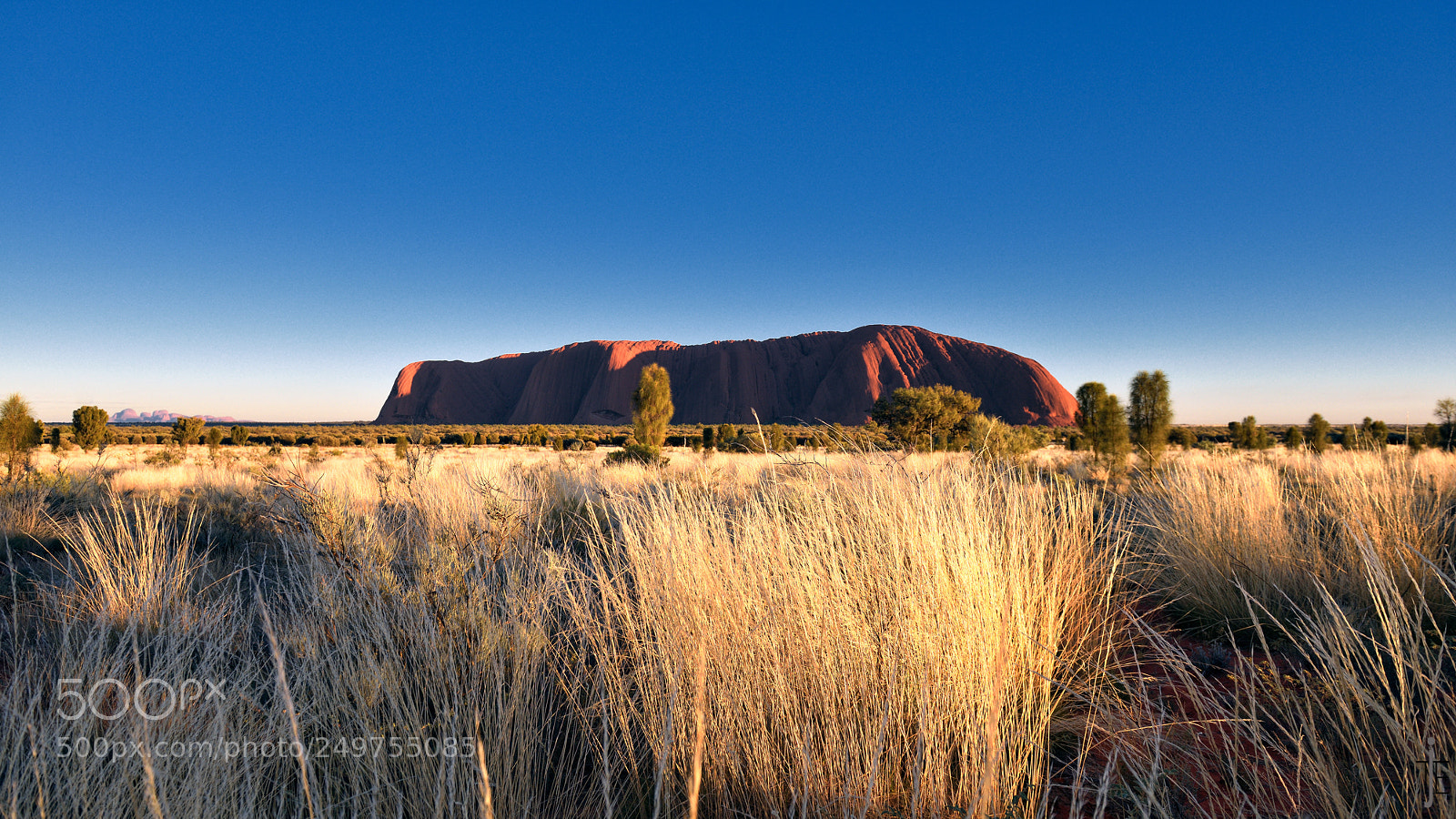 Nikon D810 sample photo. Australia photography