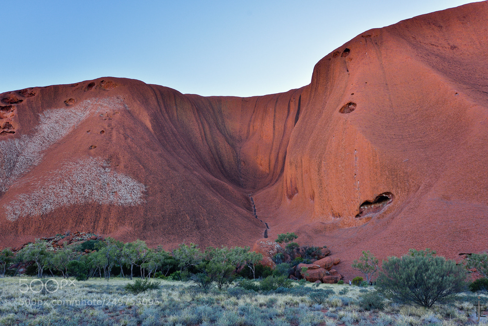 Nikon D810 sample photo. Australia photography