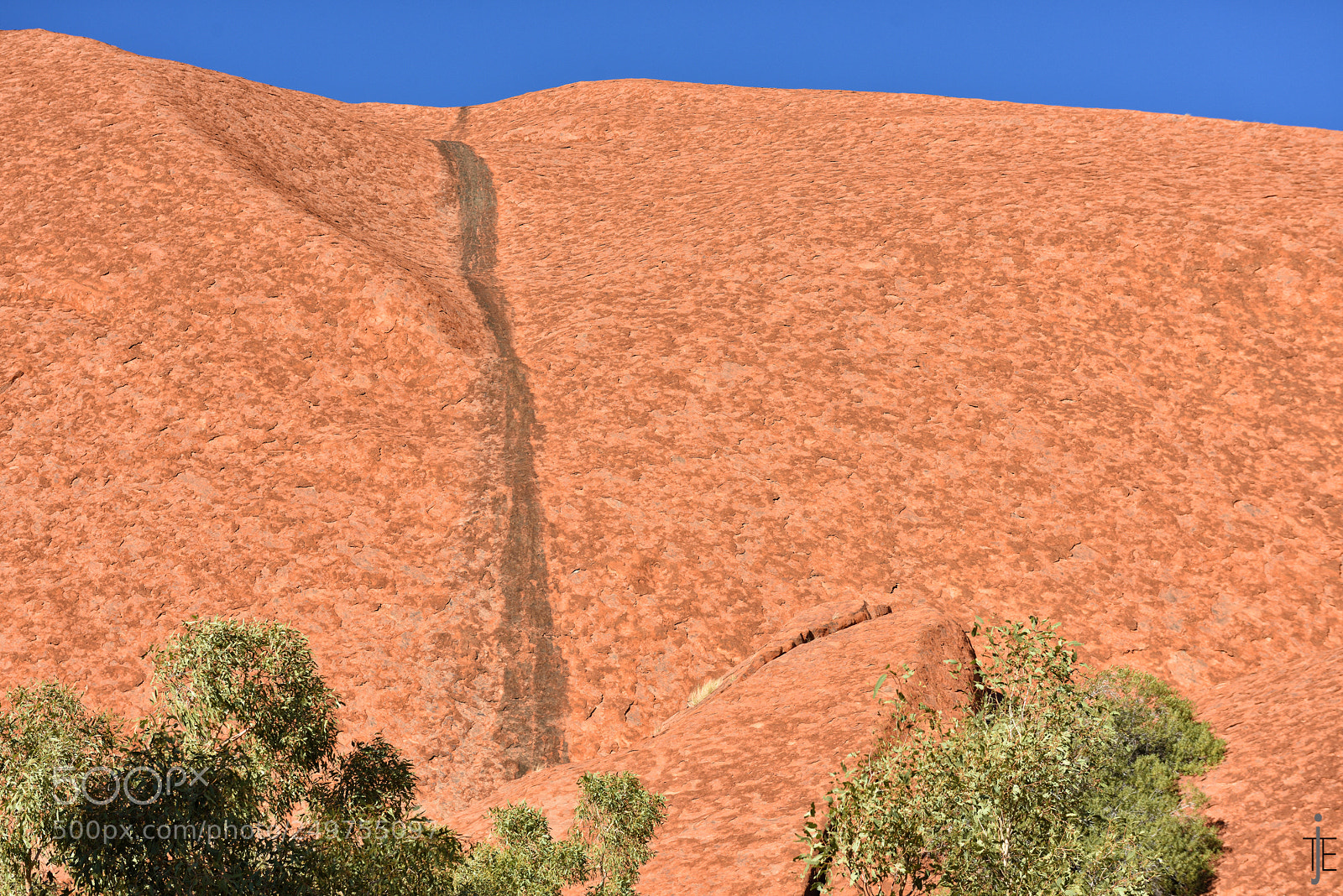 Nikon D810 sample photo. Australia photography