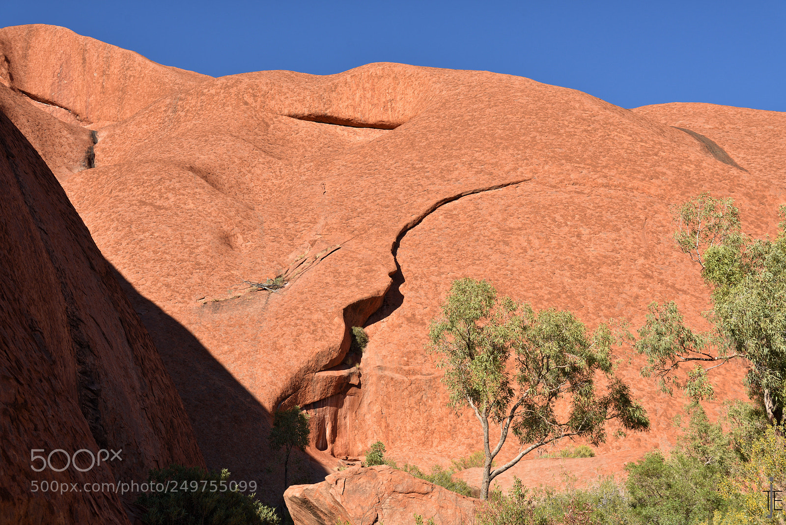 Nikon D810 sample photo. Australia photography