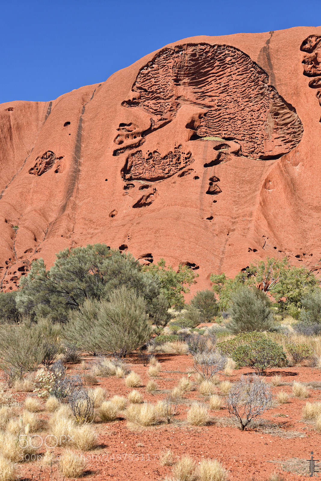 Nikon D810 sample photo. Australia photography