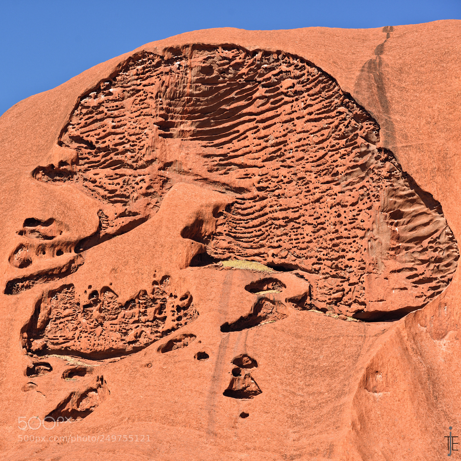 Nikon D810 sample photo. Australia photography