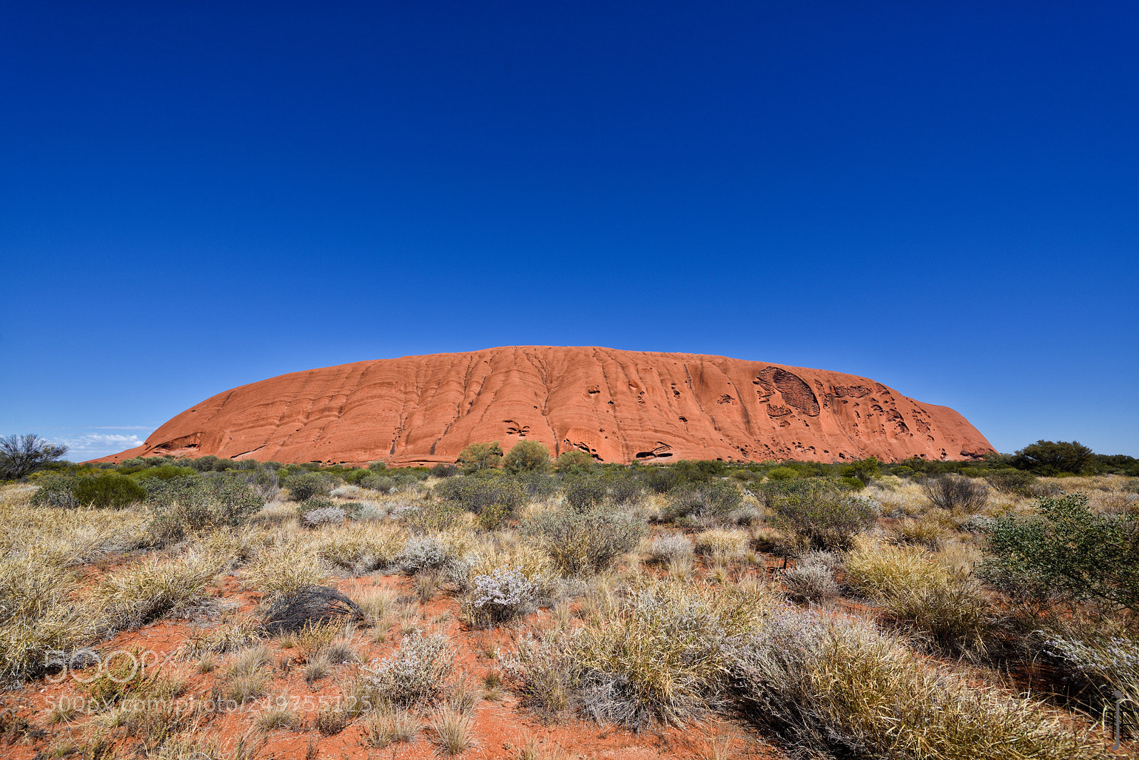 Nikon D810 sample photo. Australia photography