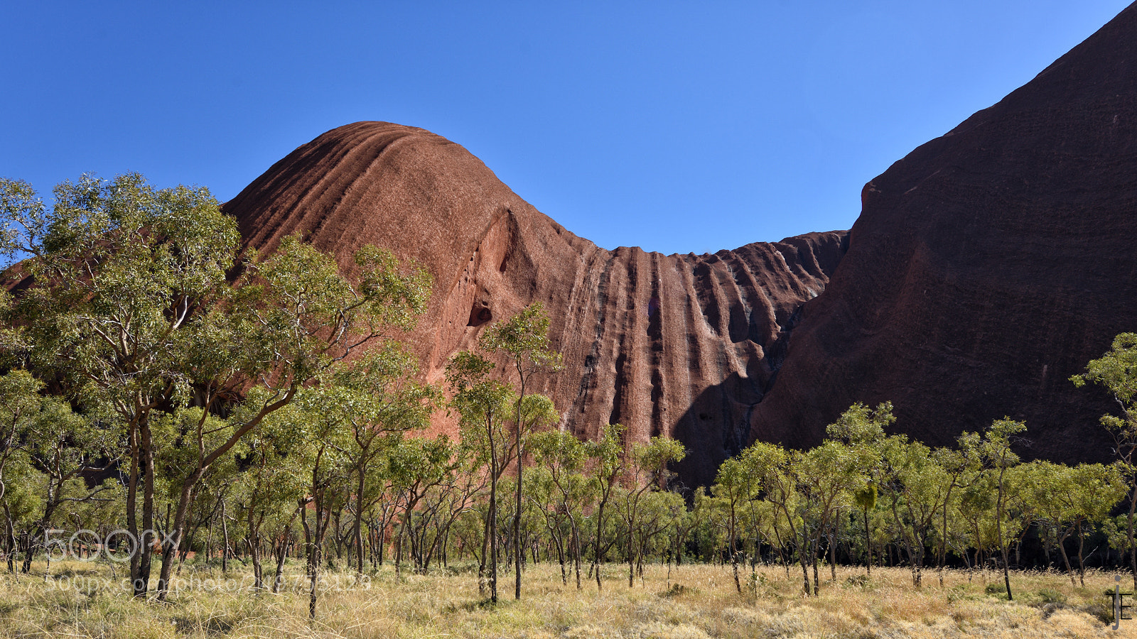 Nikon D810 sample photo. Australia photography