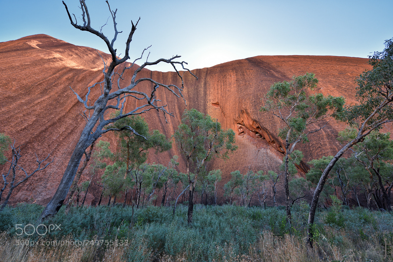 Nikon D810 sample photo. Australia photography