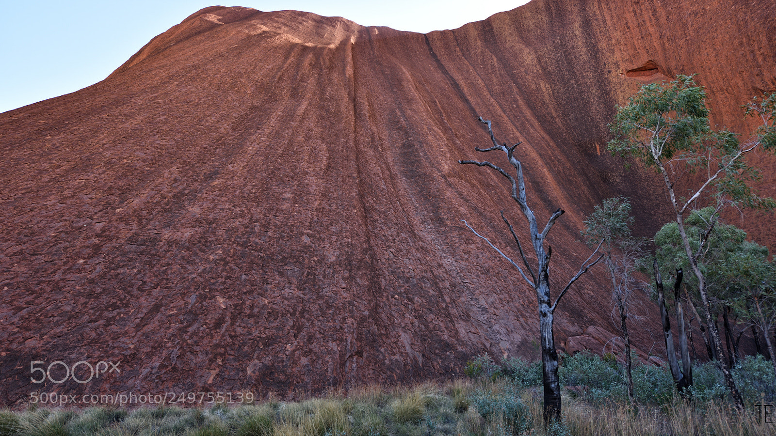 Nikon D810 sample photo. Australia photography
