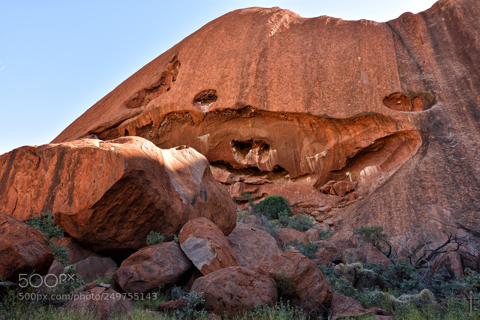 Nikon D810 sample photo. Australia photography
